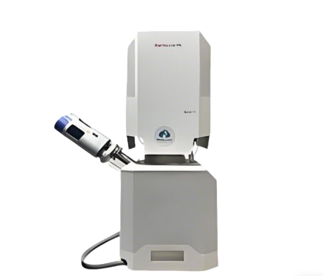 场发射扫描电镜（SEM）