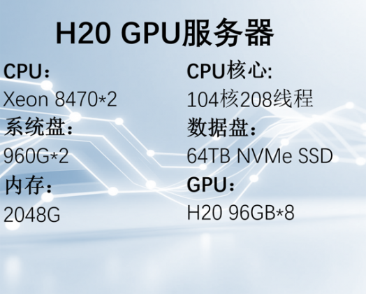 H20 GPU服务器