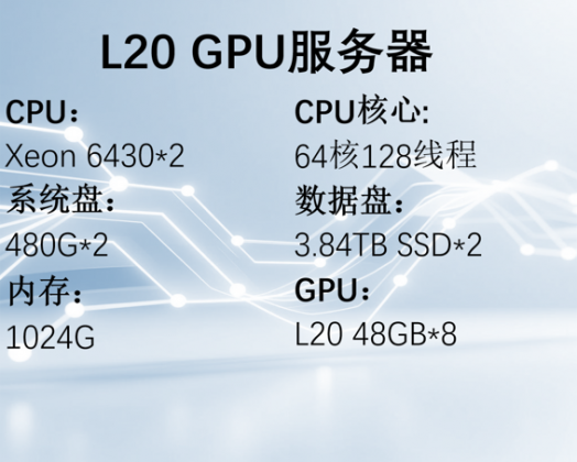 L20 GPU服务器